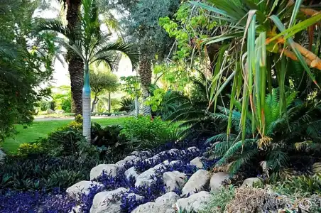 Ein Gedi Kibbutz - 68