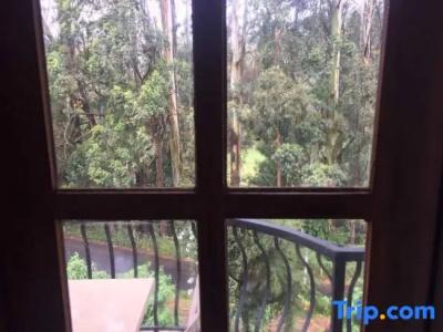 Panorama Green View - 39