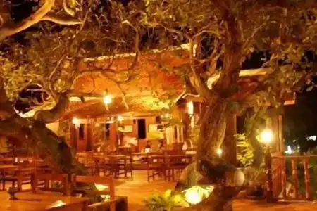 Harry's Bungalows & Restaurant - 22