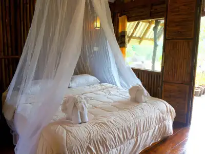 Khao Sok Jungle Resort - 2