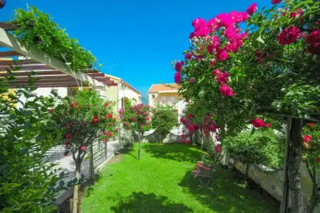 Villa Dragana with Heading Swimming Pool and Parking - 40