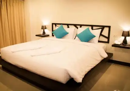 Sleep Whale (SHA Extra Plus) - 3