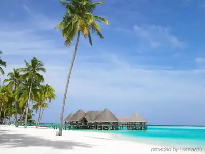 Gili Lankanfushi Maldives - 22