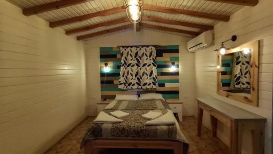 Shams & Dive Centre - 79