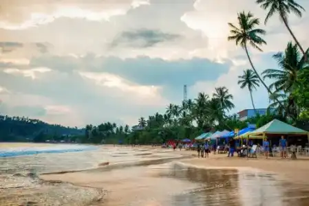 Sea Zone Resort - 1