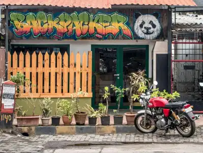Backpacker Panda Appetite Mumbai - 0