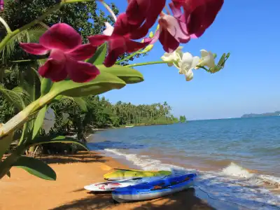 Serenity Resort - 17