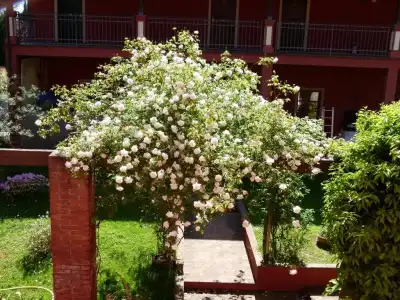 Albergo la Luna - 34