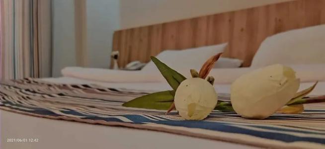 Siesta - All Inclusive - 53