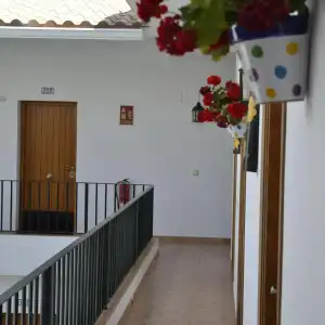 Oasis Atalaya - 48