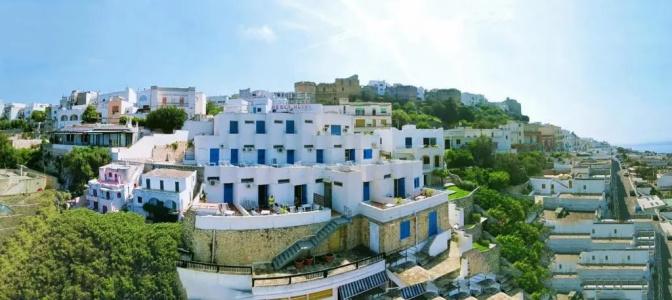 Degli Ulivi - 21