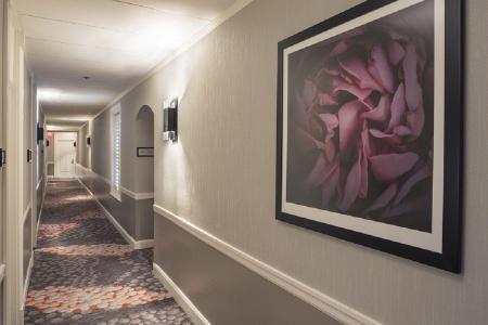 The Barnes San Francisco, Tapestry Collection by Hilton - 17