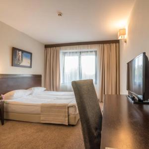 Lion Borovets - 34