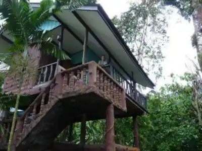 Tree Top River Huts - 22
