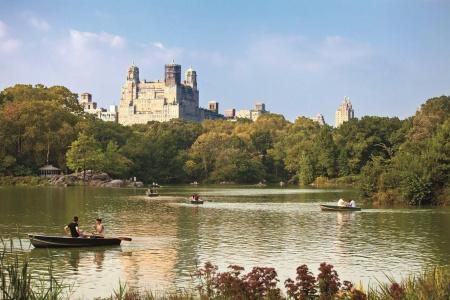 The Ritz-Carlton New York, Central Park - 21