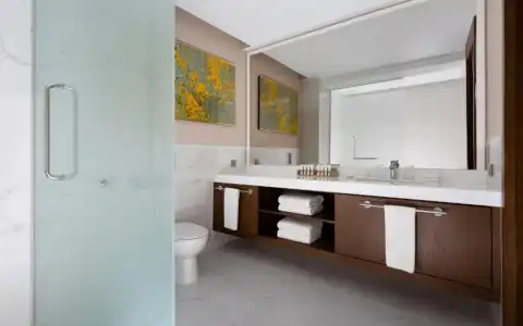Swissôtel Wellness Resort Alatau - 55
