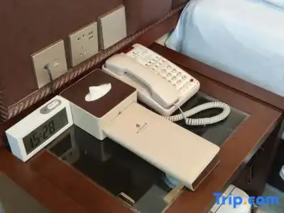 Beijing Henan Plaza - 14