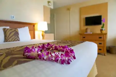 Waikiki Resort - 64
