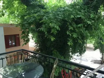 Kastri - 8