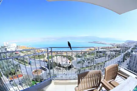 David Dead Sea Resort & Spa - 22