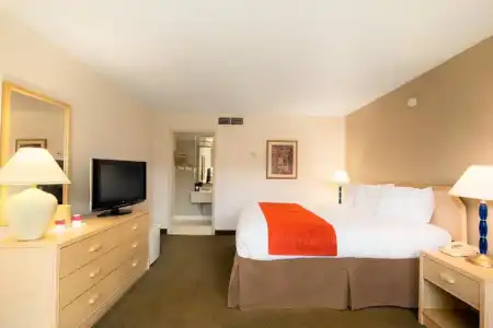 Ramada by Wyndham Kissimmee Gateway - 29