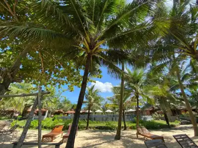 Thanh Kieu Beach Resort - 113