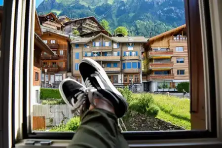 Alpenkräuter Bären - 31