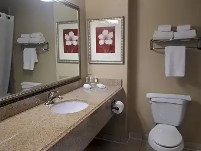 Comfort Inn & Suites Galveston Central Island near Pier - 27
