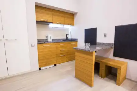 Pushkinskaya Apartments - 15