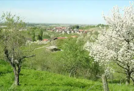 Hotel-Gasthof Rose - 15