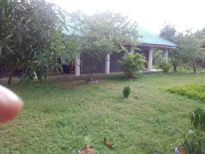 Sinhagiri Villa - 12