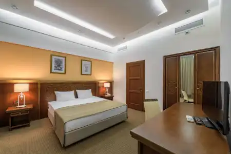 ALARUS LUXE - 2