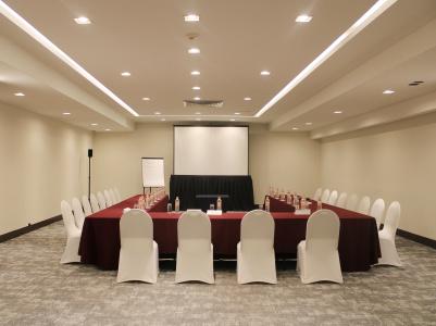 Holiday Inn Mexico Dali Airport by IHG - 37