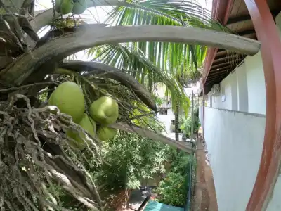 Casa Samaya, Boutique Beachfront in Weligama - 36