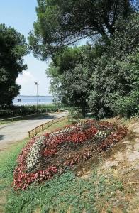 Tizé Village - 34