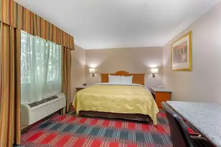 Quality Inn & Suites Oceanside Near Camp Pendleton - 51