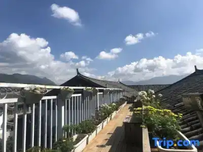 Floral Qinyuan - 1