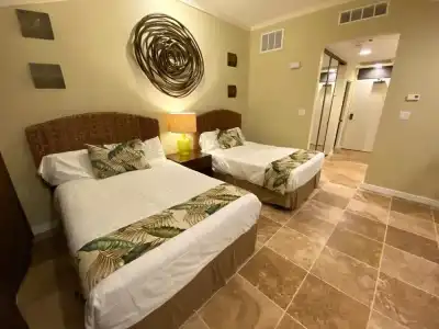 Come to Maui- Beautiful 2BD/3BA OceanView Kapalua Ridge Villa - 1