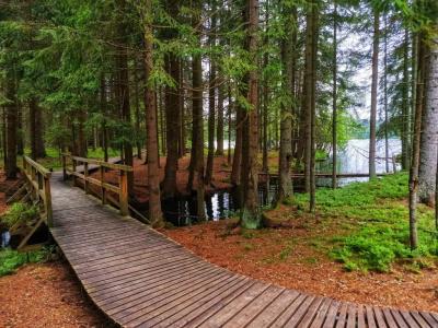 OREA Spa Cristal Mariánské Lázně - 17