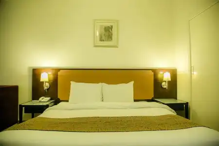 Phoenicia - 15