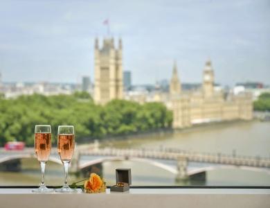 Park Plaza London Riverbank - 19