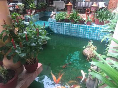 Wannara Resort and Spa - 8