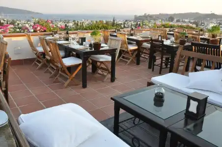 El Vino Suites - Special Class - 15