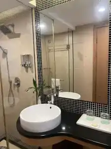 Shenzhen Luohu Lotus - 2