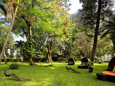 Royal Orchid Sheraton Riverside Bangkok - 29