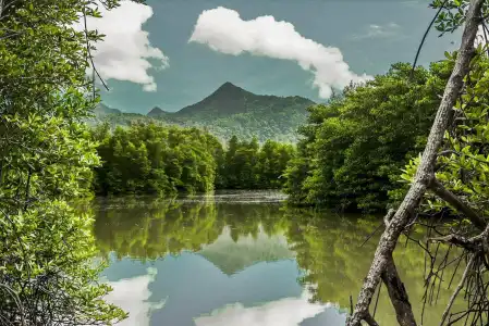 Bhu Tarn Koh Chang Resort and Spa - 19