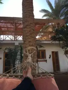 Sunrise Dahab Lodge - 15