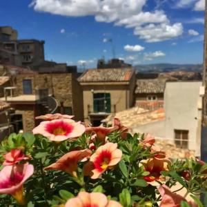 B&B A Casa dei Nonni - 8