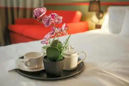 ibis Styles Lisieux Normandie - 49