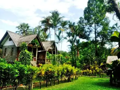 Tree Top River Huts - 69